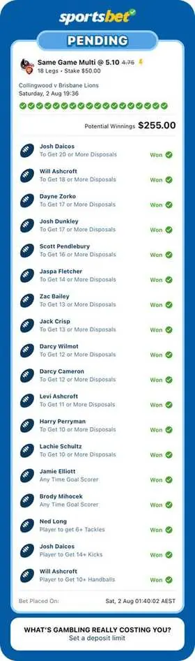 AFL winning bet slip: 19-Leg Multi, Stake $13.16 @ 339.08, paid +$4,462.41